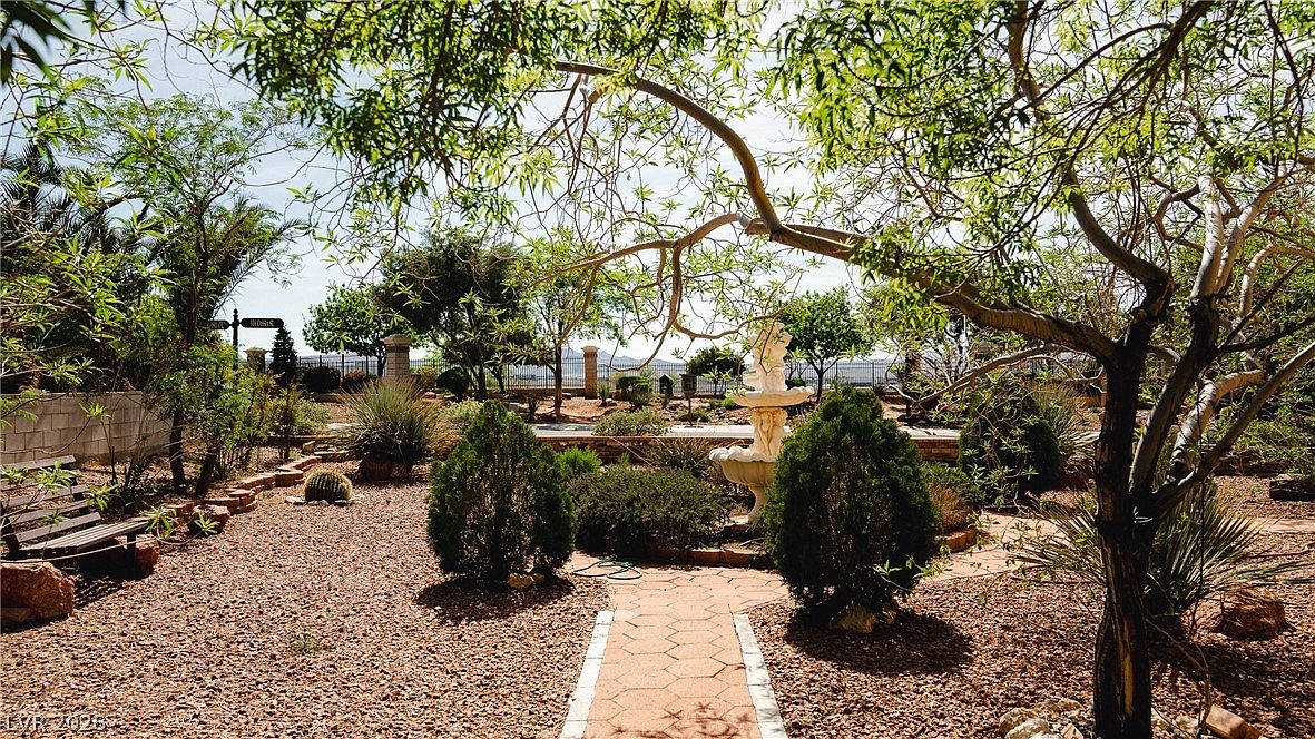Detail of the courtyard garden framed by a mature tree, with pathways winding between desert plantings
